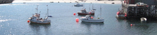 Sandland.jpg