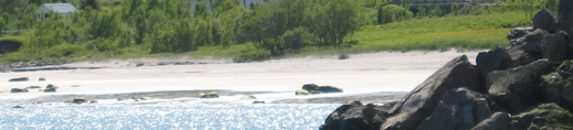 Sandland  2.jpg