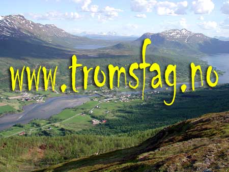 Rossfjordbygda sett fra Tinden (fjell)