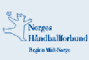 logo_midt_100x67