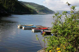 Høyre