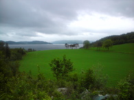 DSC00445