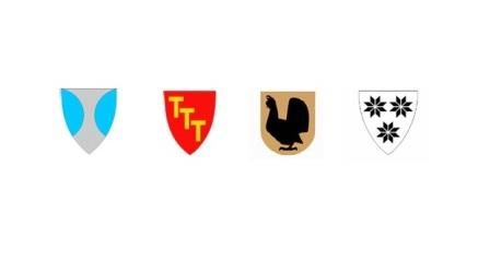 Kommunevaapen nearegionen