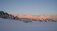 Vinter januar 2010 001