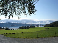 Utsikt fra Bossnes - Fjæran. Inderøytur 2011.