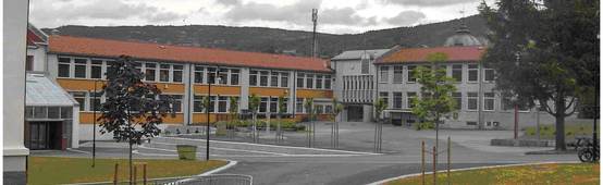 Hammartun skole
