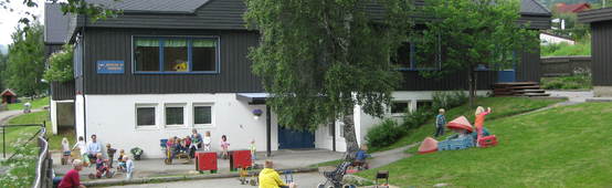 Bilde Holmejordet juni 001