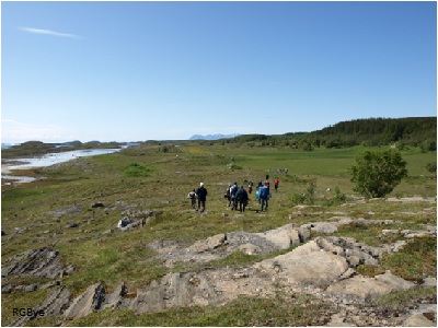 Blomsøy