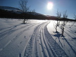 20090306 Grønnlibruna Rundt på ski mE OaFoto (25)_351x263