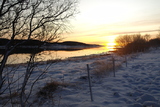 vinter