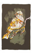 Hortulan_brun