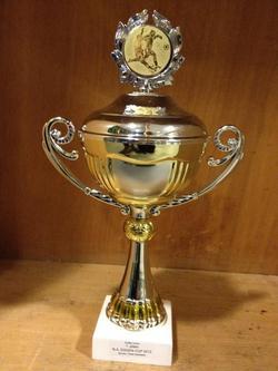 Nils Arne Eggen Cup - pokal_250x333
