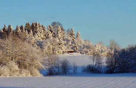 Gammelg&aring;rden