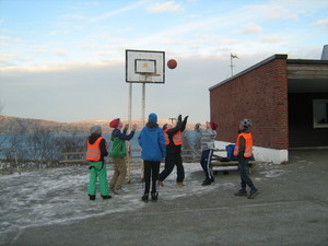 Trivselsledere basket
