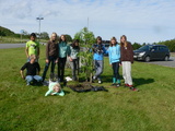 Planting