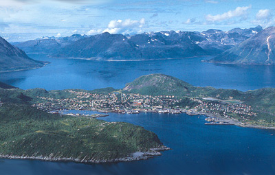 skjervoy