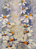 IMG_7086_edited-1