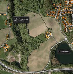 Gråor-heggeskog/ravineskog langs Stavsbekken. Foto: Flyfoto Flyfoto Gråor-heggeskog