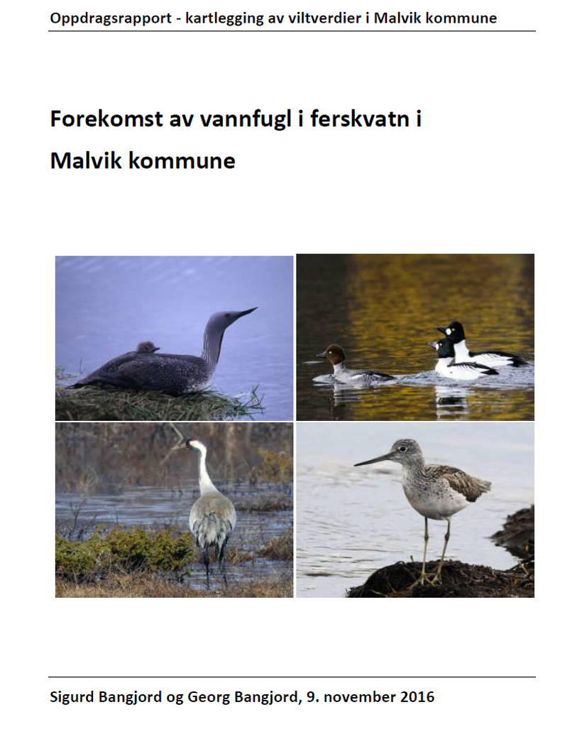 Forside - rapport Forside - rapport