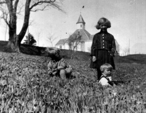 Tre prestebarn som pukkar blomar på påskeliljemarka. f.v. Maria Synøve, Synøve Maria og Steingrimm (sittande). Bilde tatt 1932. Givar: Mary Fanghol. Tre prestebarn som pukkar blomar på påskeliljemarka. f.v. Maria Synøve, Synøve Maria og Steingrimm (sittande). Bilde tatt 1932. Givar: Mary Fanghol.