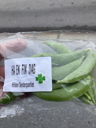 pose med ærter_400x533.jpeg