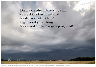 Vildt vejr_400x279.png