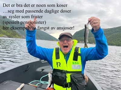ansjosen_400x300.jpeg