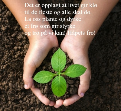 Plant et frø med limerick_400x368[1].jpg