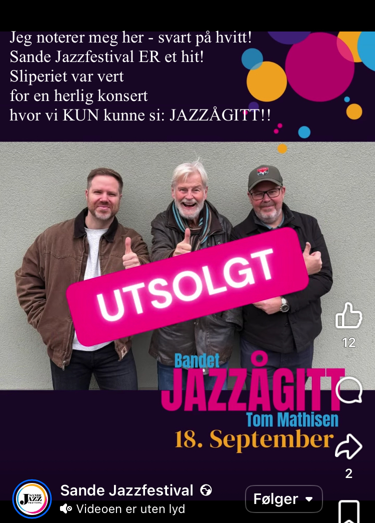 Jazzågitt.jpeg