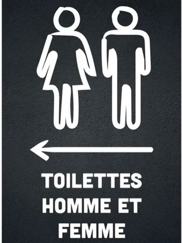 wc femme homme.jpg