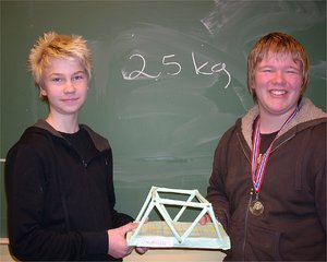 stauringen vant stauringen vant