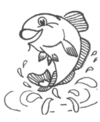 Fisk_200x244
