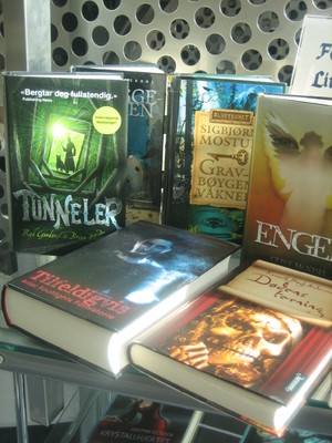 Fantasylitteratur Foto: Torunn Sandstad N&aelig;ss
