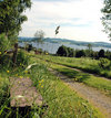verdalsgrendastor