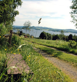 Bilde av Verdalsgrenda