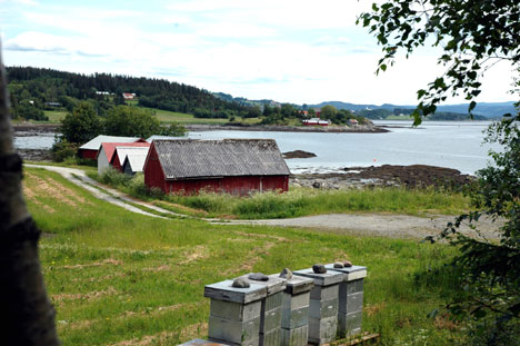 vangsstor vangsstor