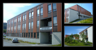 SkjUngdSkole2009b