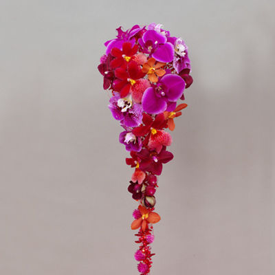 rosa orchidee