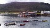 havna_400x300