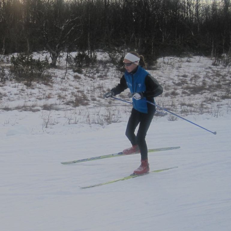 Bruksvallarna 010