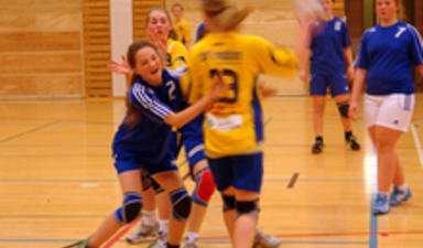 handballj15_220x170