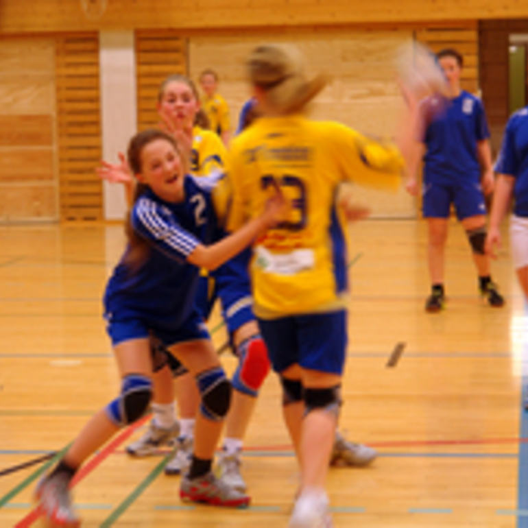 handballj15_220x170