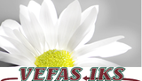 vefas logo