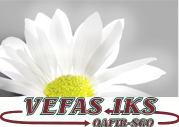 vefas logo