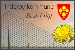 bru, kommunevåpen og blomst bru, kommunevåpen og blomst