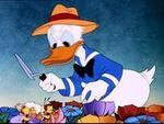 donald og bi_150x113