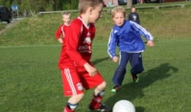 Ein ekte SILgutt er ALLTID hissig på ballen! G8_200x133