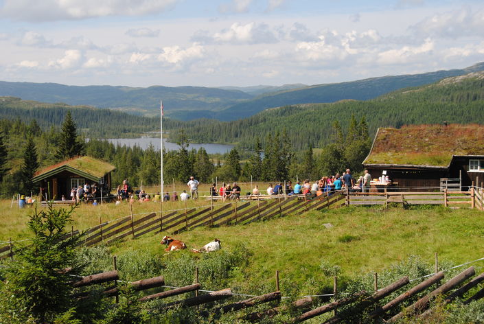 Todalen