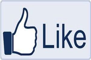 Facebook like Facebook like
