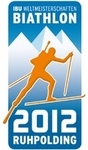 ibu vm 2012_88x150